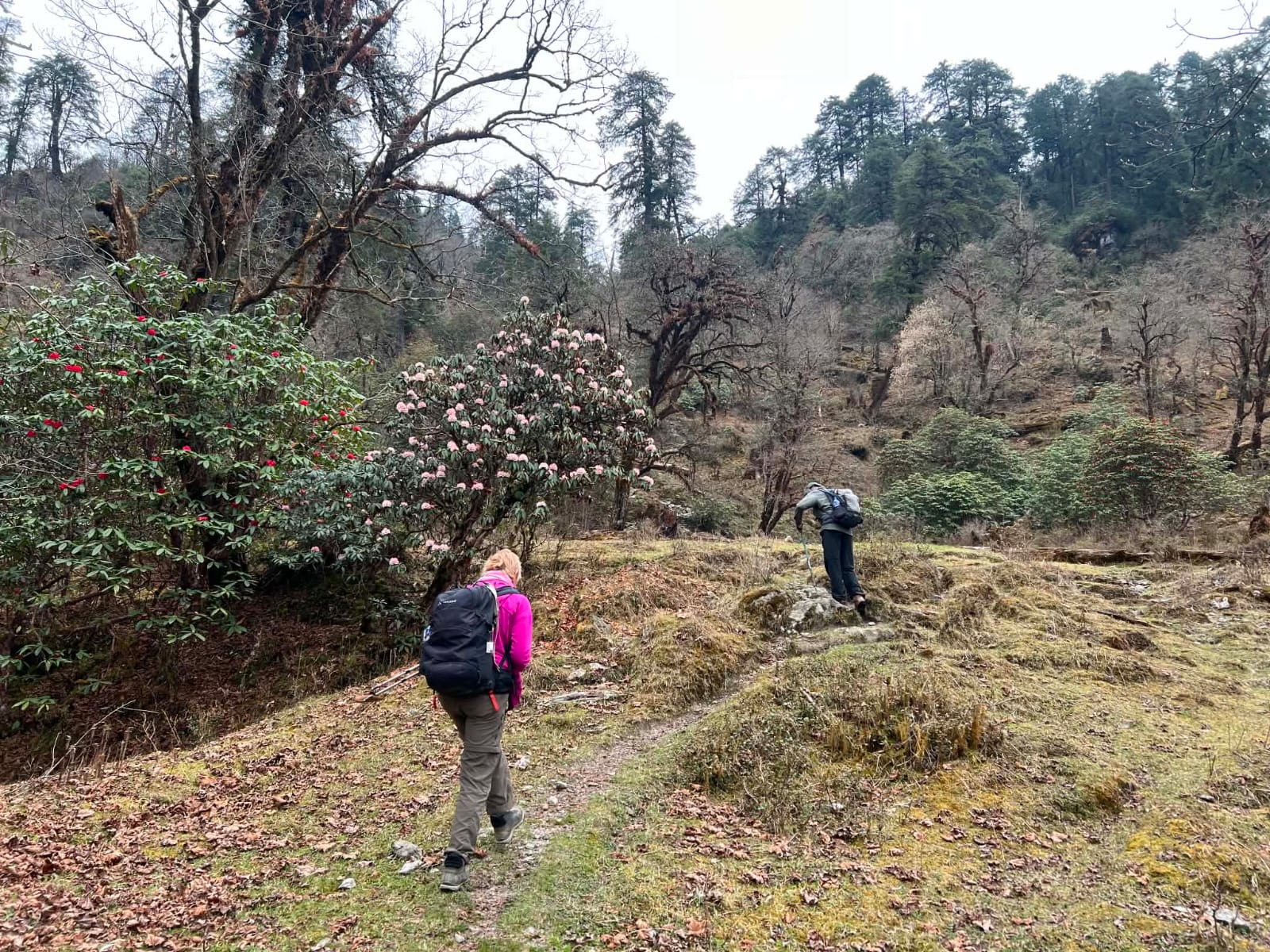Ruby Valley Trek